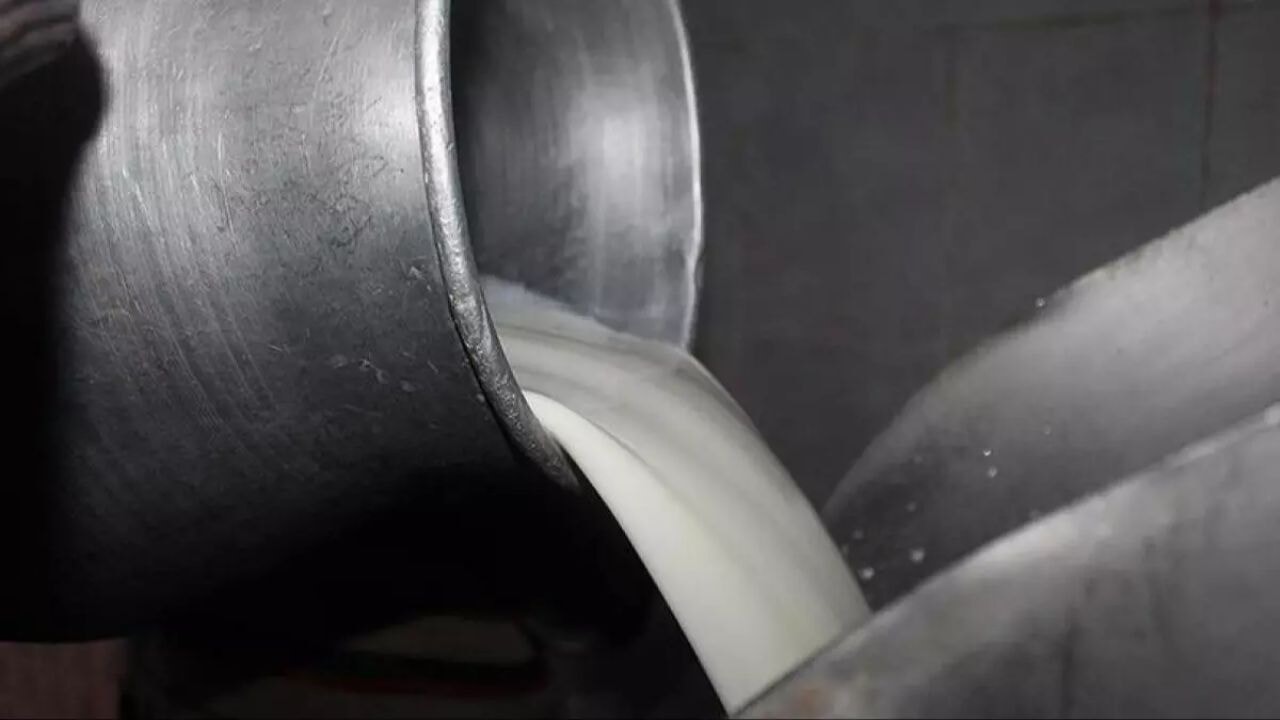 cig sute yeni yag orani duzenlemesi resmi gazetede yayimlandi 1JQuVAxe.webp