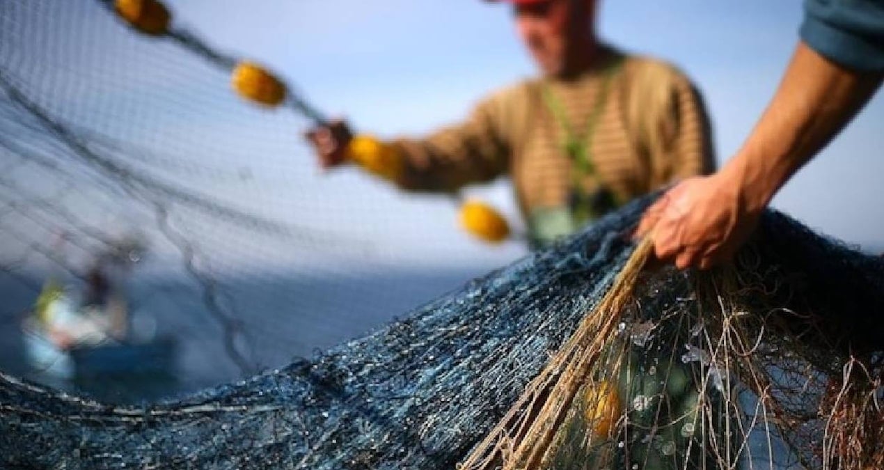 Balıkçı, 50 Milyonda Bir Görülen Nadir Bir Yaratığı Yakaladı