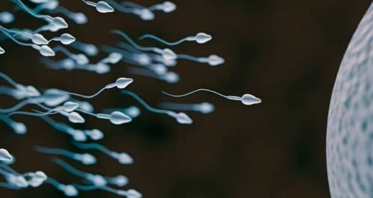 dunyada-ilk-kez-sperm-yarisi-yapilacak-odulu-tam-45-milyon-tl-fndLstUt