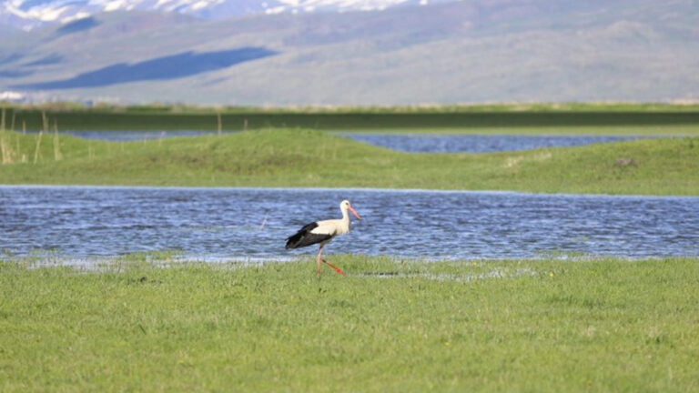 erzurumun-bir-yani-kar-bir-yani-bahar-F8g7x2UA