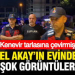Haber gorseli